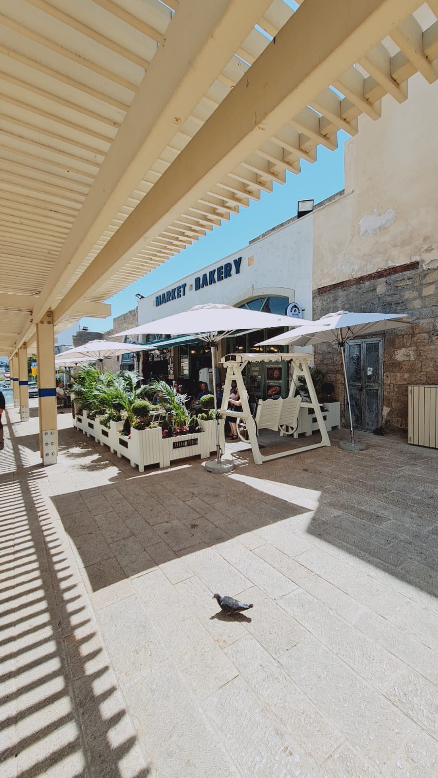 WhatsApp Image 2022-09-14 at 9.46.31 AM.jpeg